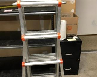 220 Little Giant Ladder