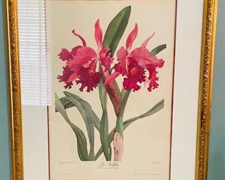 $100   55/ Pair of English pink flowers prints 
