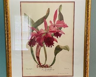 $100   55/ Pair of English pink flowers prints 