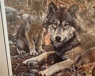 Carl Breuders COA litho