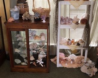 Vast collection of seashells 