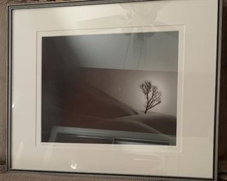 Art Black and White Photography