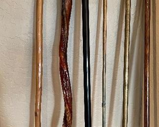 Amazing Cane Collection!