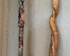 Amazing Cane Collection!