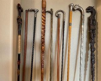 Amazing Cane Collection!