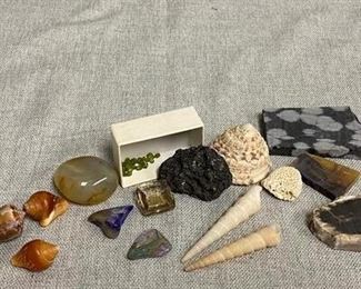 Lot of Shells, Stones, Rocks
