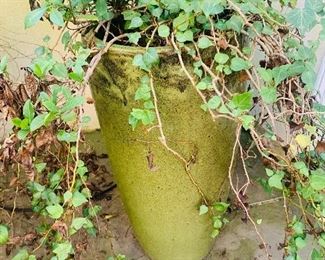 Large Floor Vase/Planter with Live Plant