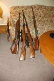 Rifles/Guns