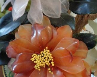 close-up of carnelian flowers