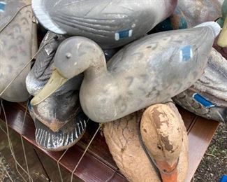 lots of vintage working decoys-rubber, composite with glass eyes -old plastic-
