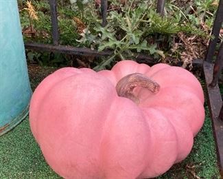 Pink outdoor pumpkin $50