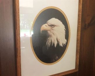 Signed Eagle Photo (Tom Peolusen?)