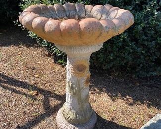 Bird Bath
