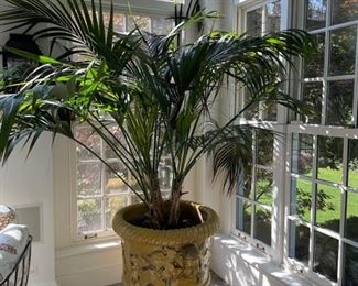 19th Century Mike Bell Yellow Jardiniere with Cherub Face. Measures 28" x 30" H. Photo 4 of 4.