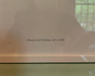 Mid 19th Century Hand-Colored Lithograph of Ciconia Nigra by J. Gould and H. C. Richter. Photo 2 of 2.