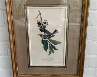 Framed Audubon Hand-Painted Lithographs. One shown; six available. Photo 1 of 3.