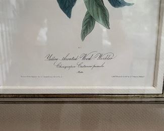 Framed Audubon Hand-Painted Lithographs. One shown; six available. Photo 2 of 3.