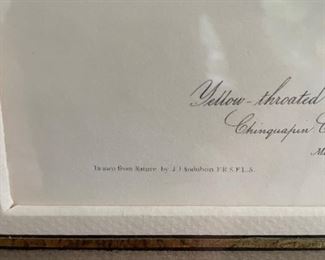 Framed Audubon Hand-Painted Lithographs. One shown; six available. Photo 3 of 3.