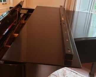 1926 Steinway & Sons Ebony Satin Gloss Finish Model M Baby Grand Piano with PlayerDisc System. Refurbished by Kurt Saphir. Formal Resale Appraisal, Available Upon Request, Performed by Piano Technician: Dornfeld Piano Tuning. Photo 6 of 12.