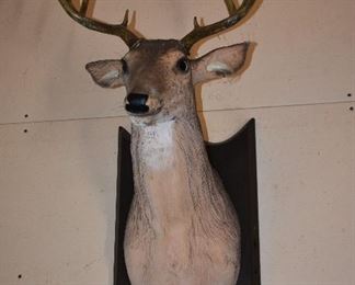 TALKING REMOTE CONTROL DEER MOTION ACTIVATED