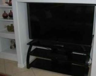 TV not included just the HHGREGG stand $75