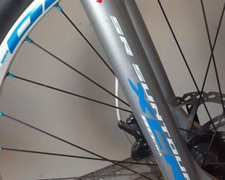 Detail, Raleigh Women's Mountain bike with SR Suntour XCR front shock