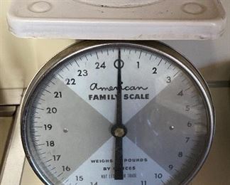 American Family Scale