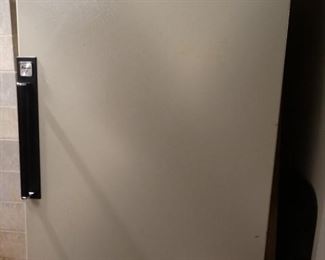 Amana Upright Freezer