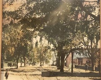 Print of Ocean Street in Jacksonville Florida dated 1894