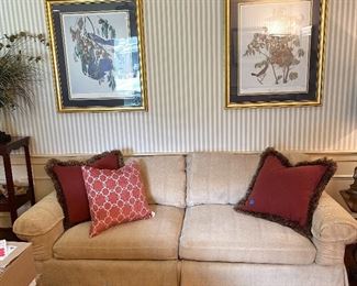 Very comfortable couch, great for napping, or so I assume.  The prints above are Audubon’s with great coloring.