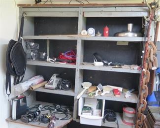 MAGNOLIA ON FERN 005