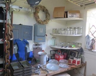 MAGNOLIA ON FERN 006