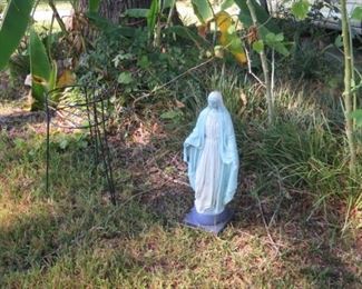 MAGNOLIA ON FERN 010