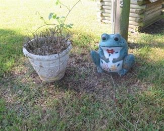 MAGNOLIA ON FERN 011