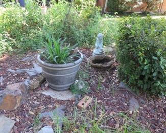 MAGNOLIA ON FERN 012