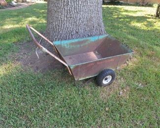 MAGNOLIA ON FERN 014