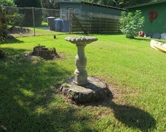 MAGNOLIA ON FERN 015