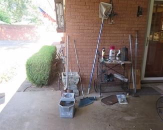 MAGNOLIA ON FERN 017