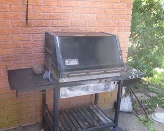 MAGNOLIA ON FERN 019