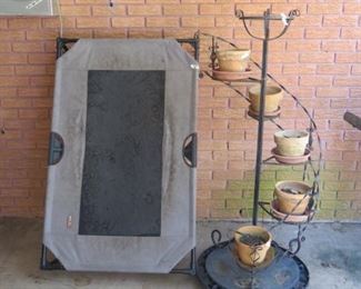 MAGNOLIA ON FERN 020