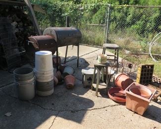 MAGNOLIA ON FERN 026