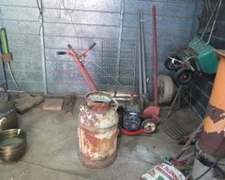 MAGNOLIA ON FERN 027