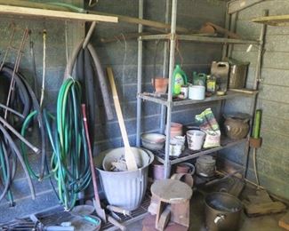 MAGNOLIA ON FERN 028