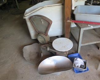 MAGNOLIA ON FERN 035