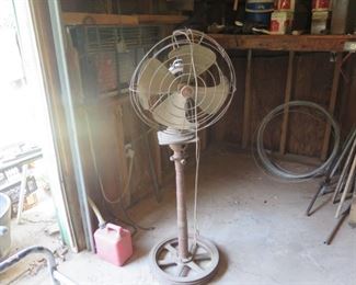 MAGNOLIA ON FERN 036