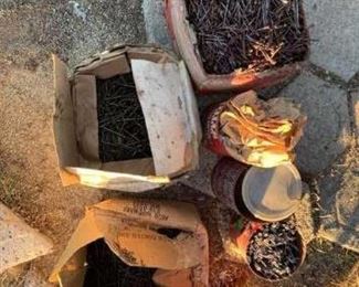 #407 • Various Sized Nails