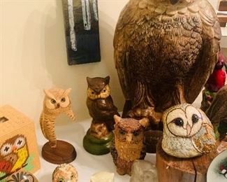 Owls