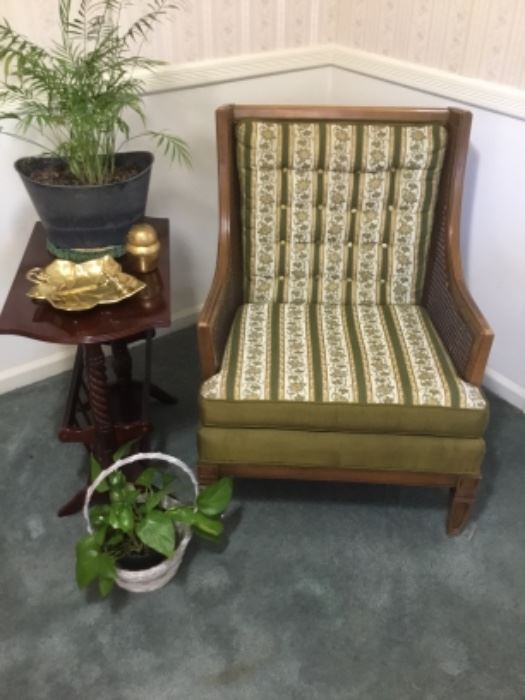 Vintage chair, magazine table  & plants 