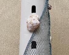 Lighthouse Collection