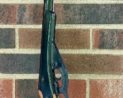 Daisy BB Gun